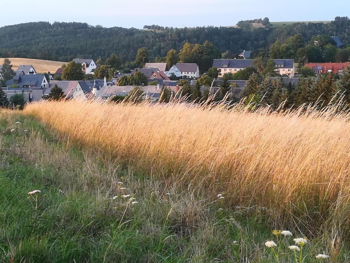 Ferienwohnung Rauscher Altenberg  Exteriér fotografie